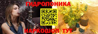 СК Рыбинск